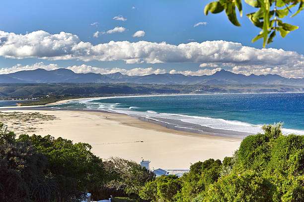 View of the beach at Plettenberg Bay on the Garden Route in South Africa.